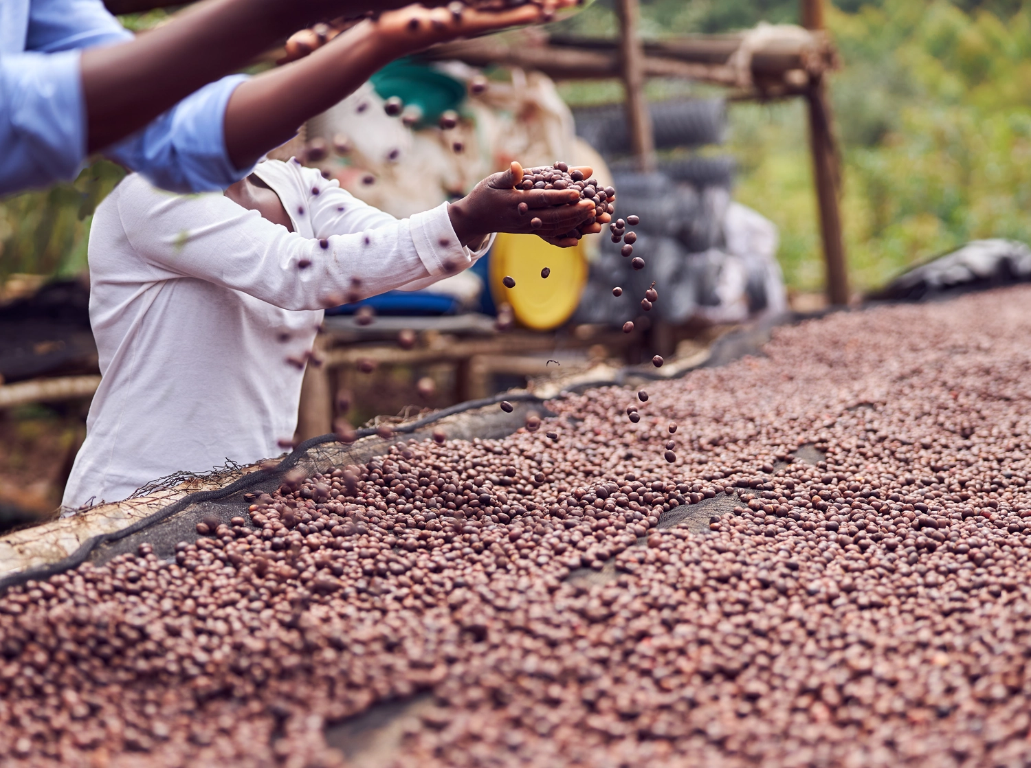 c&agrave; ph&ecirc; Ethiopia